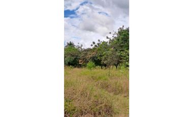 VENDO.LOTE.COMERCIAL.DE.5500MTS DOLEGA-POTRERILLOS-BQT.