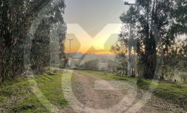 Parcela en venta  en MELIPILLA