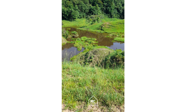 Finca Ganadera Cimitarra