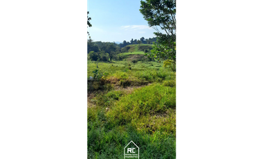 Finca Ganadera Cimitarra