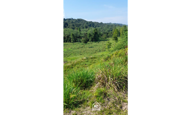 Finca Ganadera Cimitarra