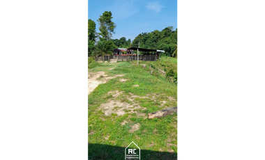 Finca Ganadera Cimitarra