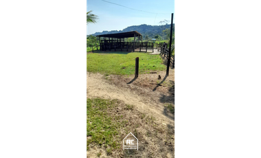 Finca Ganadera Cimitarra