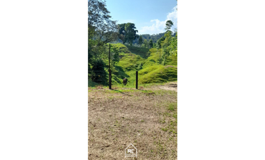 Finca Ganadera Cimitarra