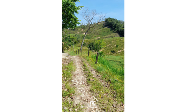 Finca Ganadera Cimitarra