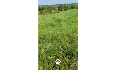 Finca Ganadera Cimitarra