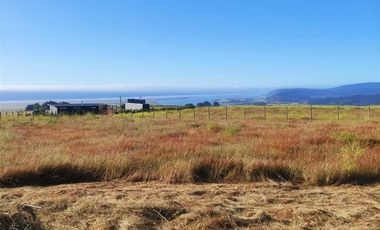 Parcela en Venta en Curepto, Séptima Región