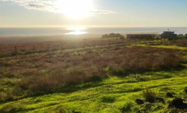 Parcela en Venta en Curepto, Séptima Región