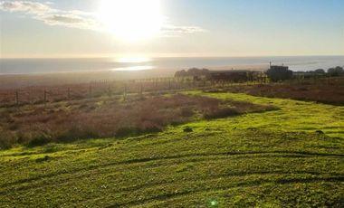 Parcela en Venta en Curepto, Séptima Región