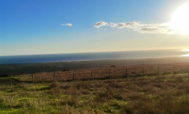 Parcela en Venta en Curepto, Séptima Región