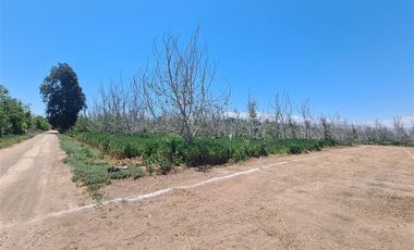 Sitio en Venta en Santa Cecilia / San Jose