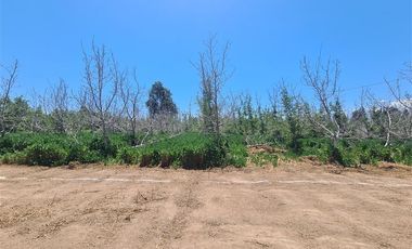 Sitio en Venta en Santa Cecilia / San Jose