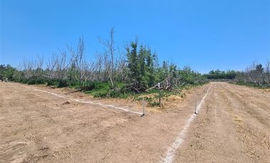 Sitio en Venta en Santa Cecilia / San Jose