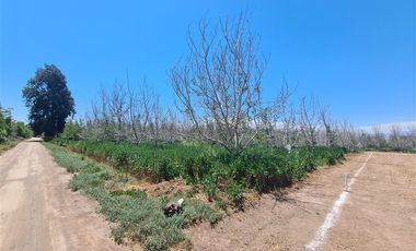 Sitio en Venta en Santa Cecilia / San Jose