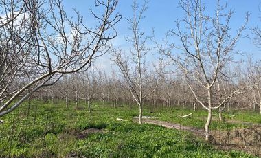 Sitio en Venta en Santa Cecilia / San Jose