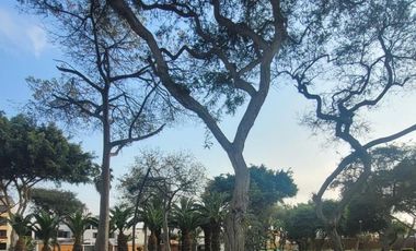 Venta de departamento en San Borja en calle Duccio