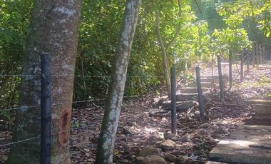 Oportunidad Única de Inversión en Palomino, Riohacha
