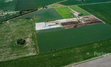Campo en Soldini