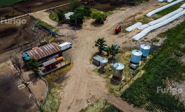 Campo en Soldini