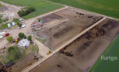 Campo en Soldini