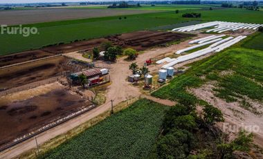Campo en Soldini