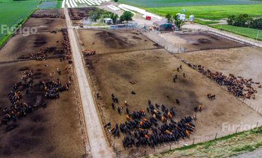Campo en Soldini