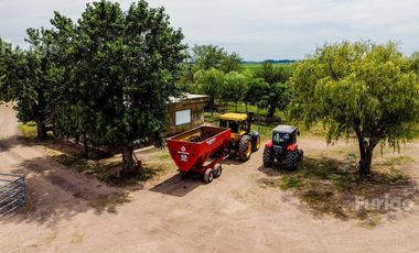 Campo en Soldini
