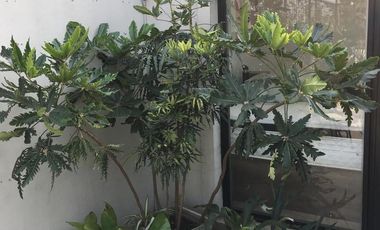 Departamento 2 ambientes con terraza y cochera en Villa Urquiza Green Haus