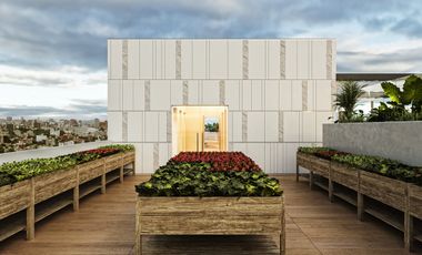 Comercio en Avenida Revolución