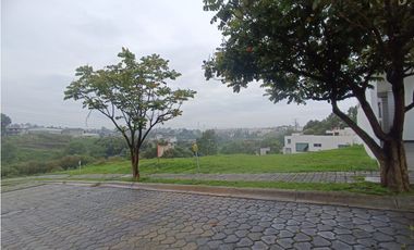Lote En Venta En Lomas De Angelopolis 1