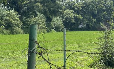 TERRENO 12 HECTÁREAS.   EN VENTA EN IXMIQUILPAN, HIDALGO