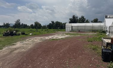 TERRENO 12 HECTÁREAS.   EN VENTA EN IXMIQUILPAN, HIDALGO