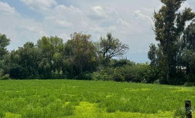 TERRENO 12 HECTÁREAS.   EN VENTA EN IXMIQUILPAN, HIDALGO