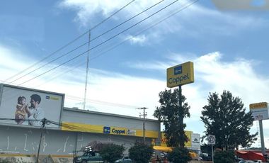 TERRENO 12 HECTÁREAS.   EN VENTA EN IXMIQUILPAN, HIDALGO