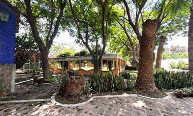 TERRENO 12 HECTÁREAS.   EN VENTA EN IXMIQUILPAN, HIDALGO