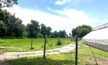 TERRENO 12 HECTÁREAS.   EN VENTA EN IXMIQUILPAN, HIDALGO