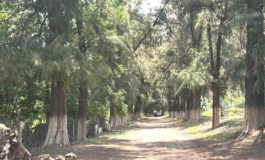 TERRENO 12 HECTÁREAS.   EN VENTA EN IXMIQUILPAN, HIDALGO