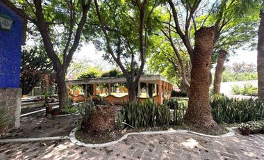 TERRENO 12 HECTÁREAS.   EN VENTA EN IXMIQUILPAN, HIDALGO