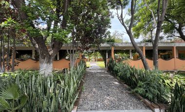 TERRENO 12 HECTÁREAS.   EN VENTA EN IXMIQUILPAN, HIDALGO