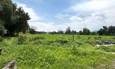 TERRENO 12 HECTÁREAS.   EN VENTA EN IXMIQUILPAN, HIDALGO