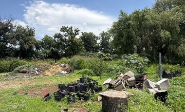 TERRENO 12 HECTÁREAS.   EN VENTA EN IXMIQUILPAN, HIDALGO