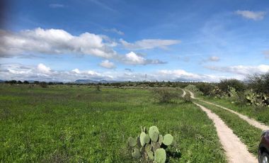 1200 Hectareas en Venta, San Luis la Paz, Guanajuato.