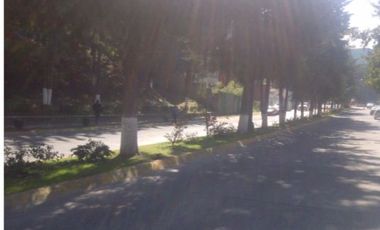 DEPARTAMENTO EN RENTA EN PRIVILEGE