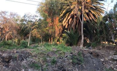 Terreno en venta en Club Náutico Puente Viejo, Juanacatlán.