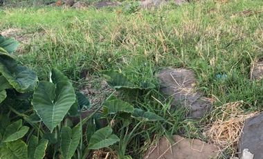Terreno en venta en Club Náutico Puente Viejo, Juanacatlán.