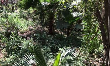 Terreno en venta en Club Náutico Puente Viejo, Juanacatlán.