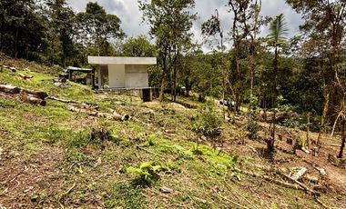 VeNtA 8 suites con JACUZZI particular en Mindo (para vacacionar o para inversión 15% anual)