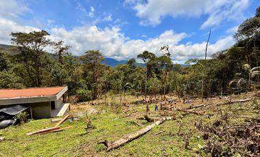 VeNtA 8 suites con JACUZZI particular en Mindo (para vacacionar o para inversión 15% anual)