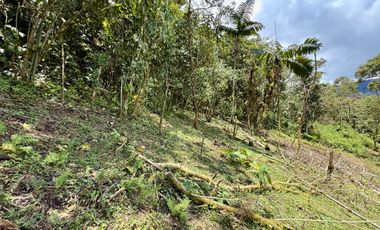 VeNtA 8 suites con JACUZZI particular en Mindo (para vacacionar o para inversión 15% anual)