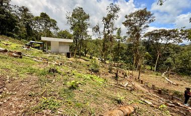 VeNtA 8 suites con JACUZZI particular en Mindo (para vacacionar o para inversión 15% anual)